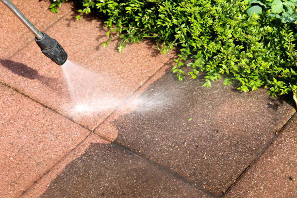 Best Residential Pressure Washing Services  in San Marino, CA